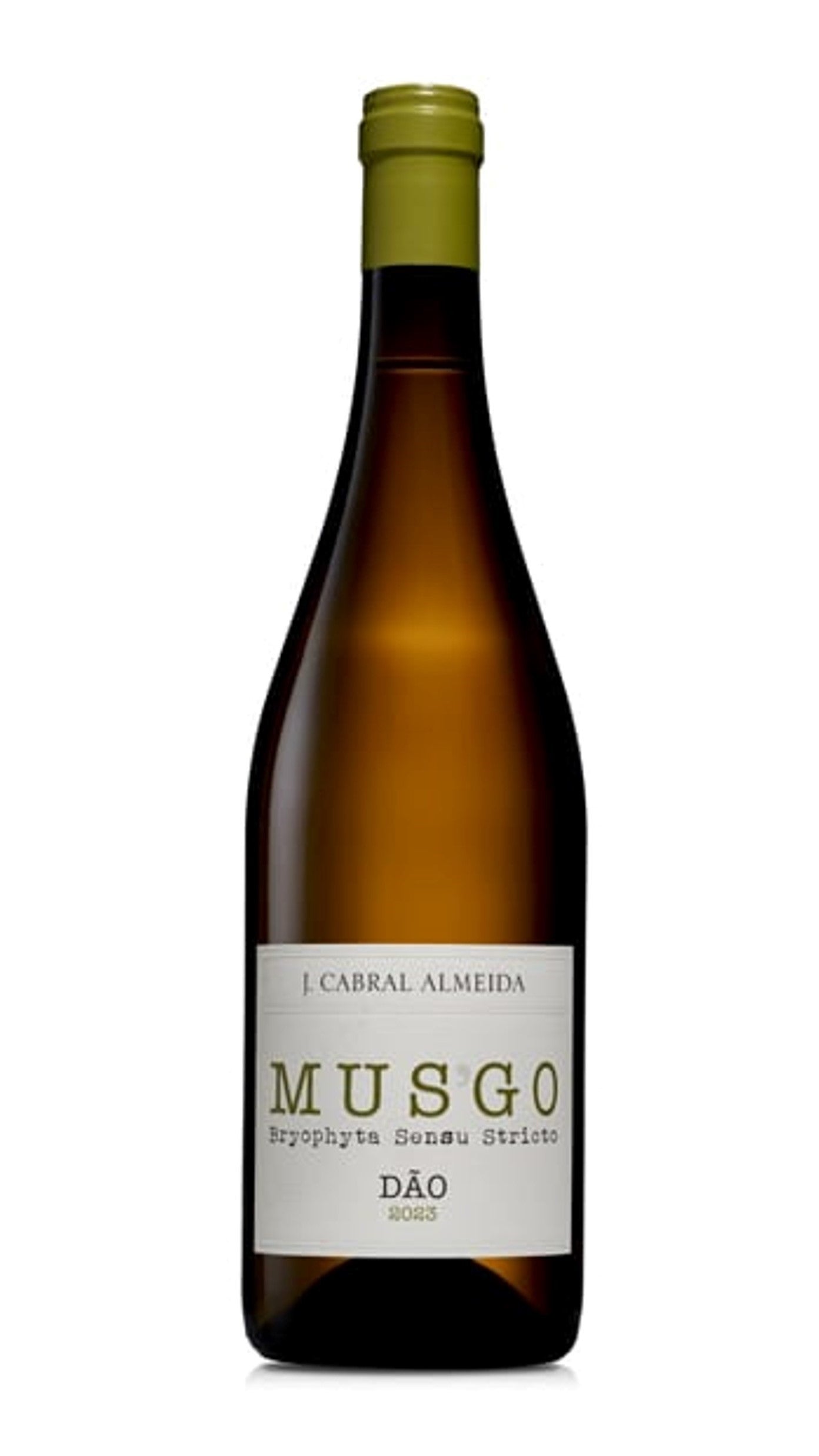 MUSGO Branco 2023